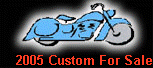 2005 Custom For Sale